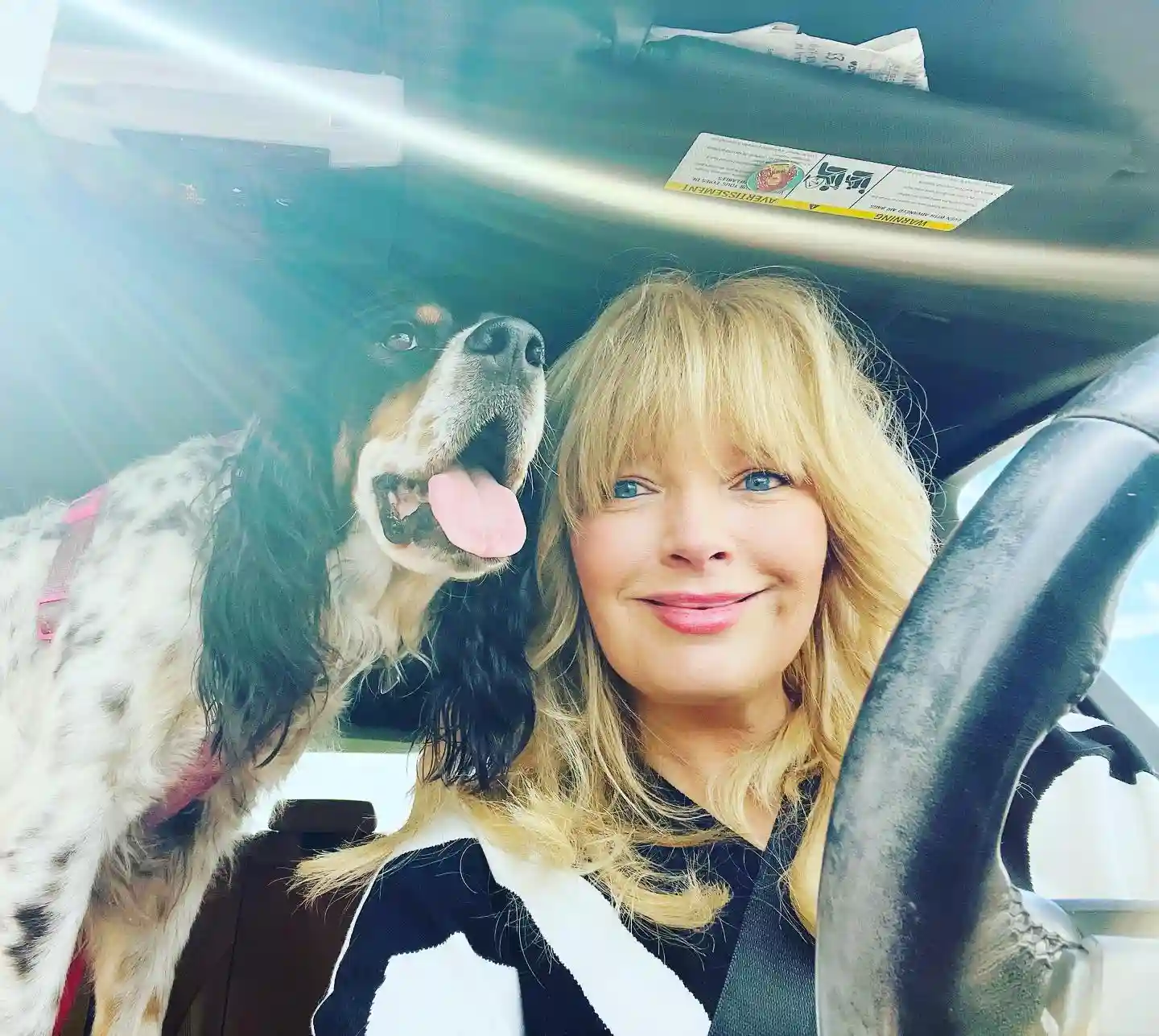 melissapeterman beauty