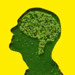 the importance of mental health