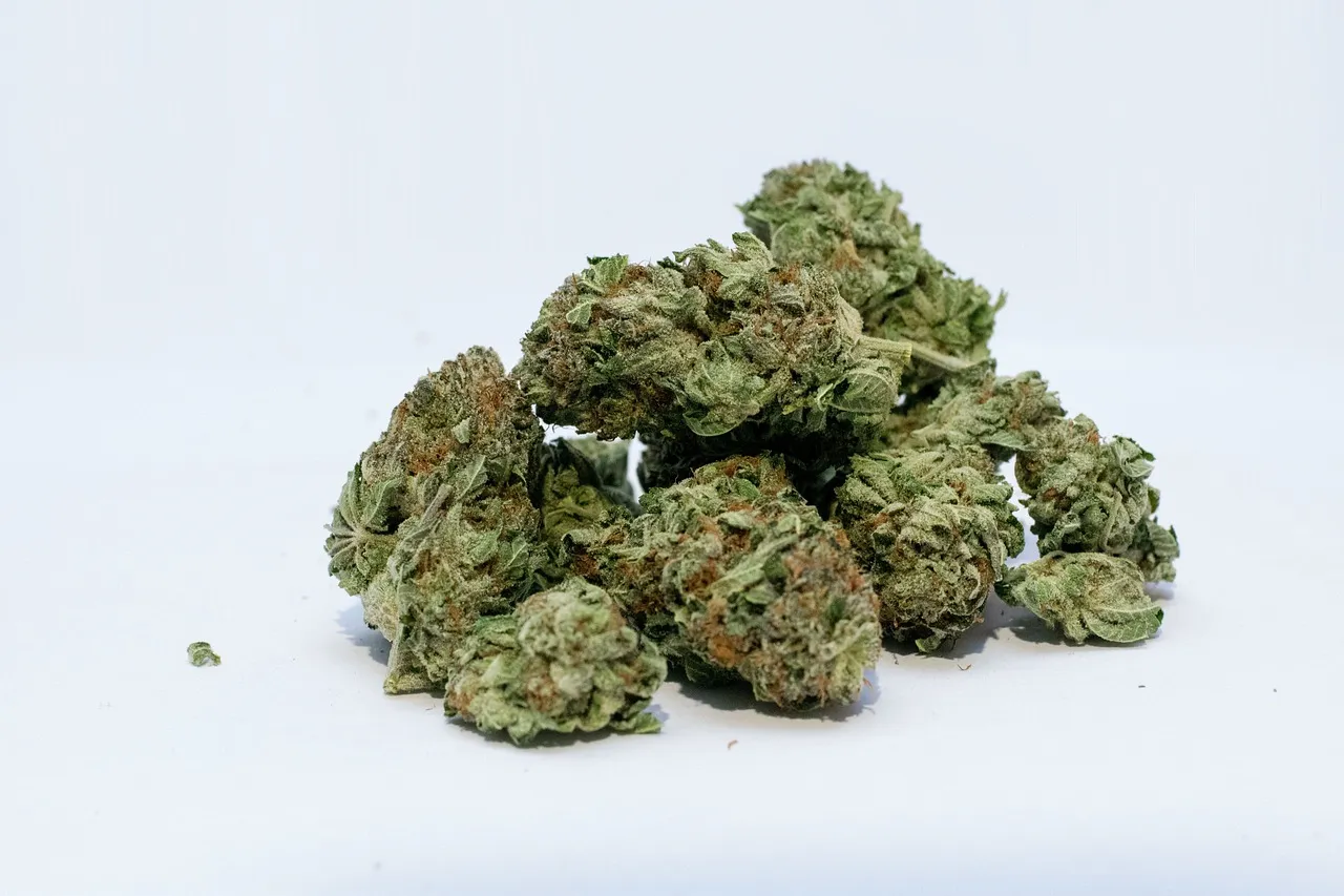 Reviews Before Buying HHC Edibles