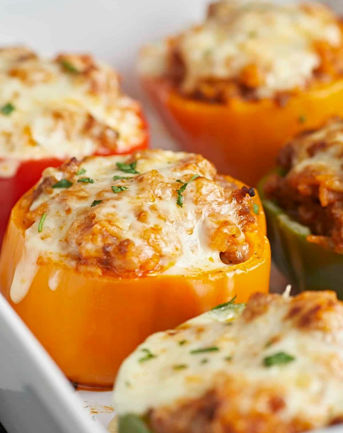 Stuffed Bell Peppers on a Budget