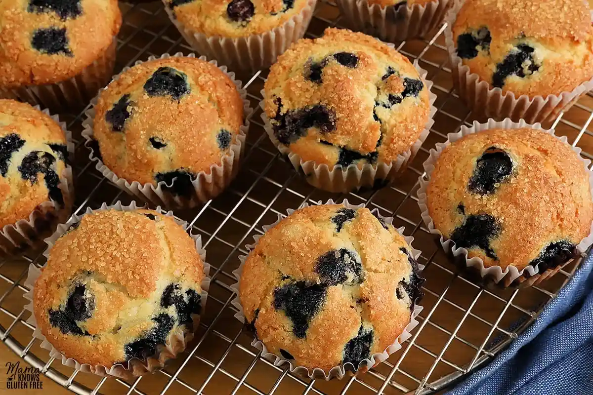 Gluten-Free Blueberry Muffins