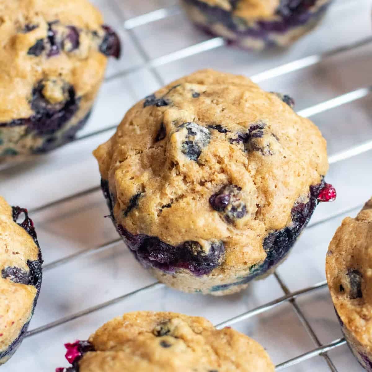 Whole Wheat Blueberry Muffins